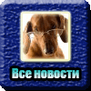 Все новости